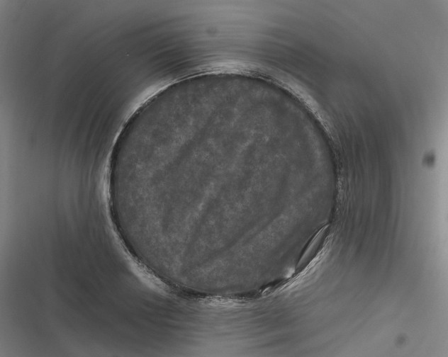 X0000116801034201001081330