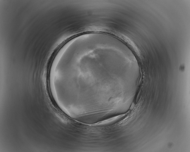 X0000116801035201001081330