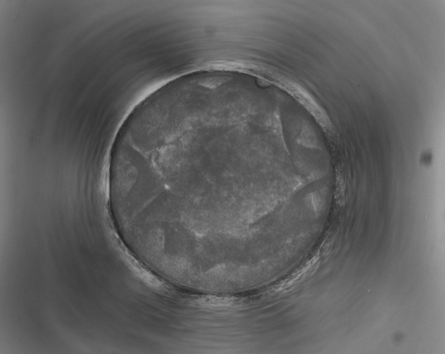 X0000116801036201001081330