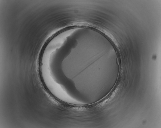 X0000116801037201001081330