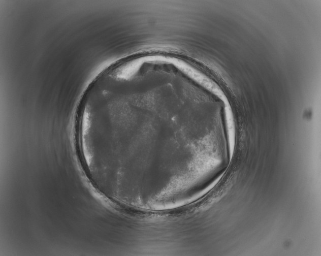 X0000116801038201001081330