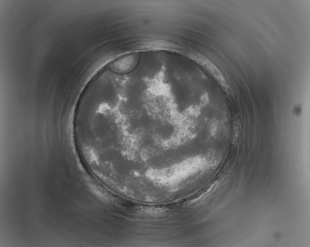 X0000116801039201001081330