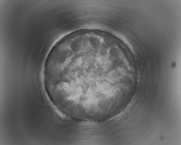 X0000116801040201001081330