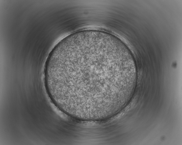 X0000116801042201001081330