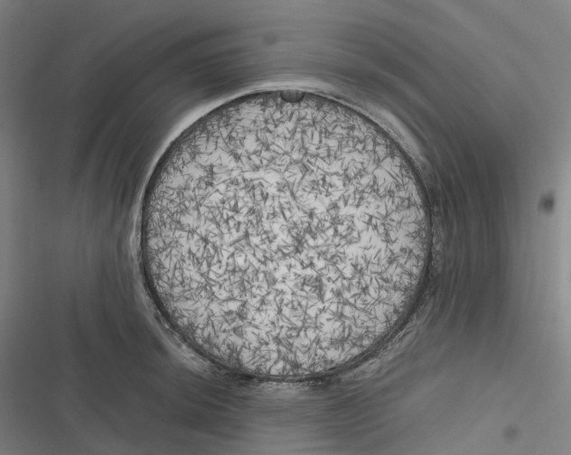 X0000116801044201001081330