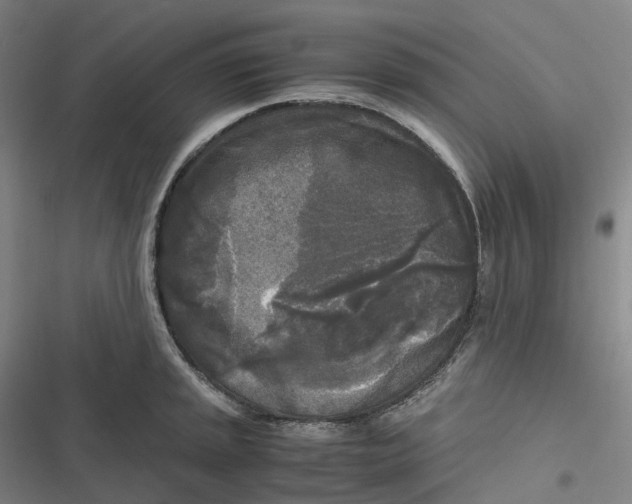 X0000116801045201001081330