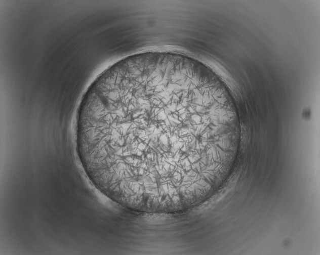 X0000116801046201001081330