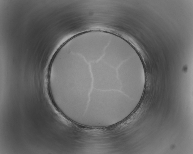 X0000116801048201001081330