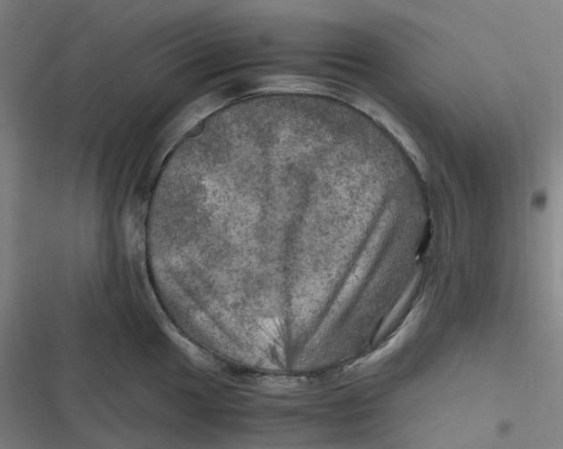 X0000116801049201001081330