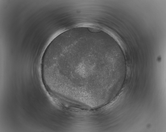 X0000116801050201001081330