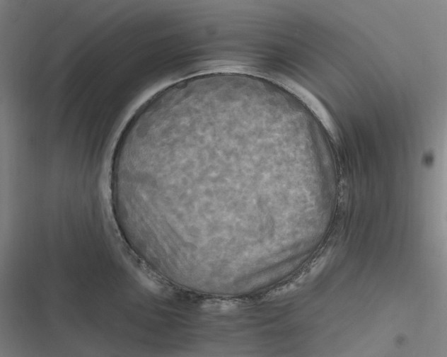 X0000116801051201001081330