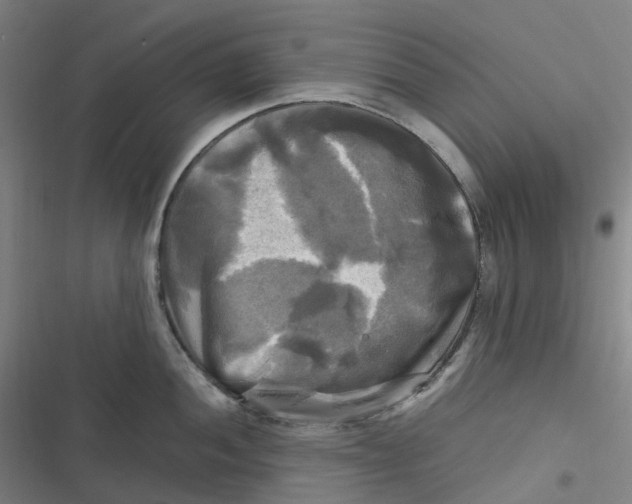 X0000116801052201001081330