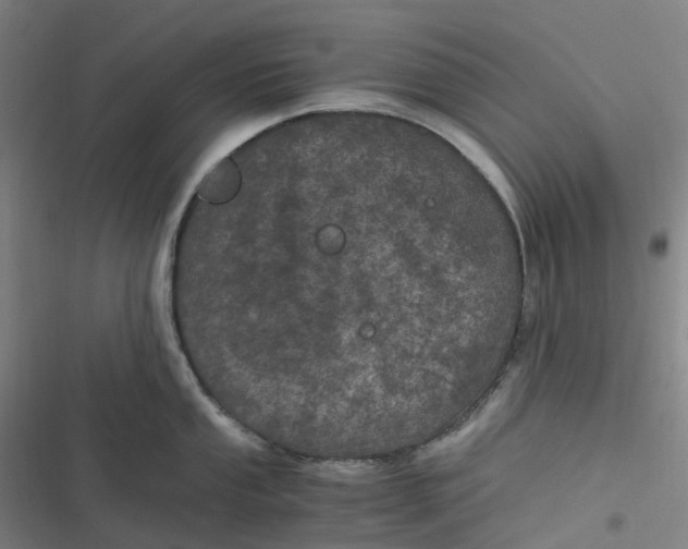 X0000116801053201001081330