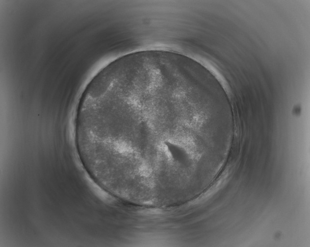 X0000116801054201001081330