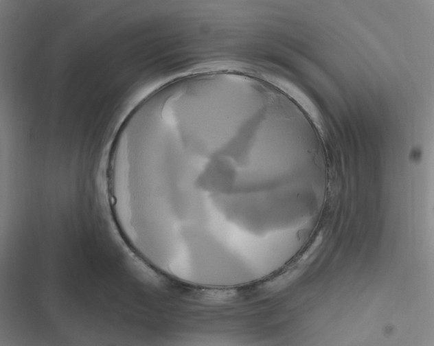 X0000116801055201001081330