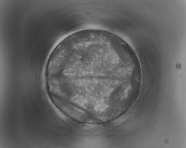 X0000116801056201001081330