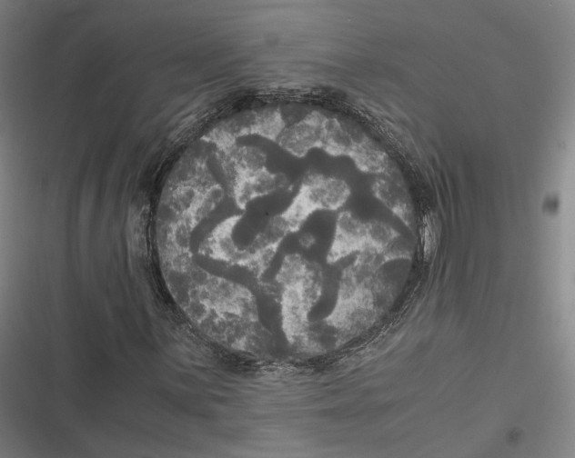 X0000116801059201001081330