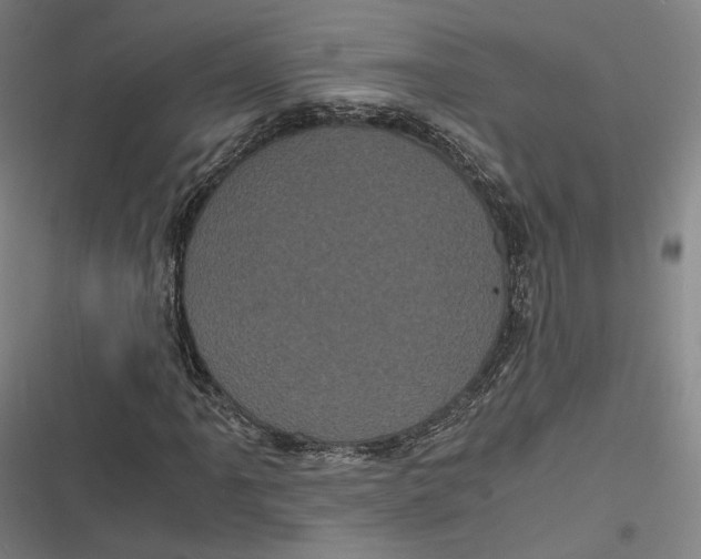 X0000116801061201001081330