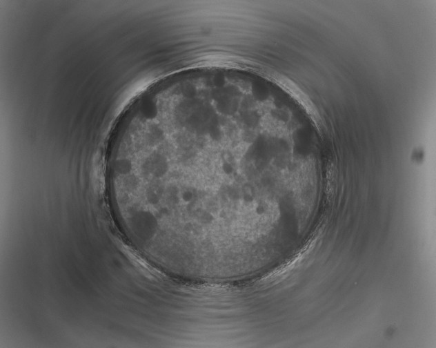 X0000116801067201001081330