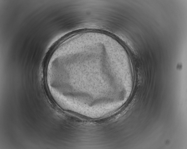 X0000116801070201001081329