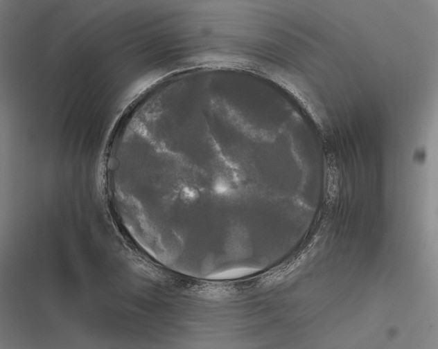 X0000116801074201001081329