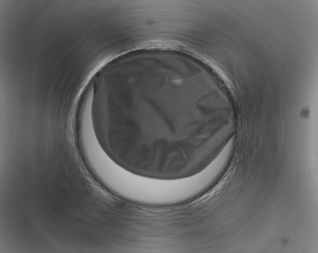 X0000116801075201001081329