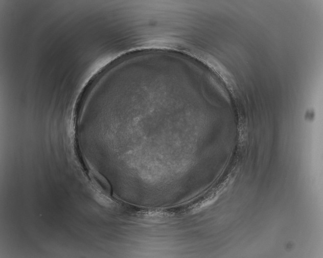 X0000116801077201001081329