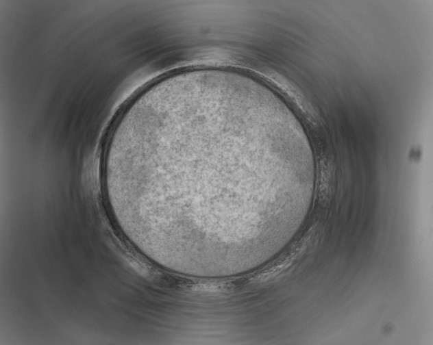 X0000116801078201001081329