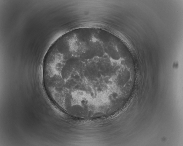 X0000116801079201001081329