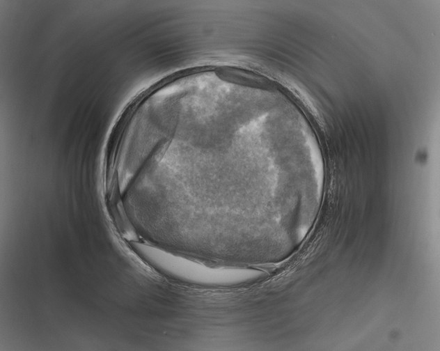 X0000116801080201001081329