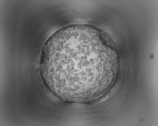 X0000116801081201001081329