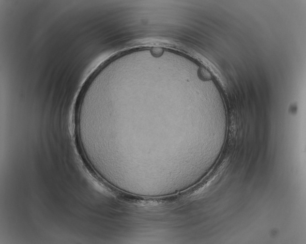 X0000116801082201001081329