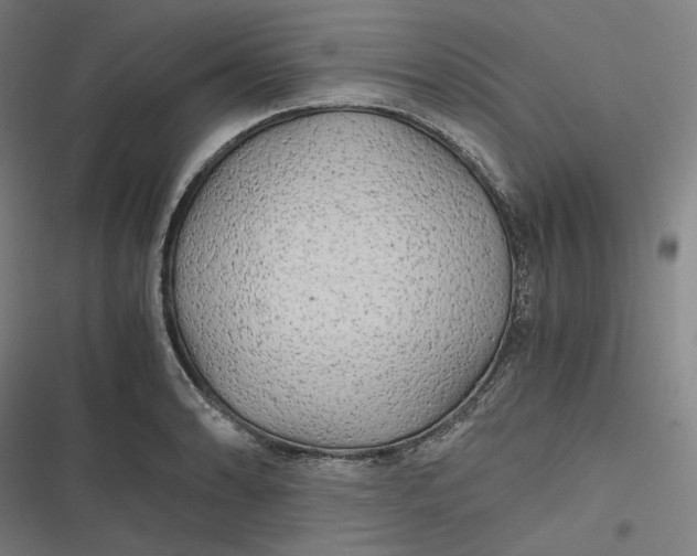 X0000116801086201001081329