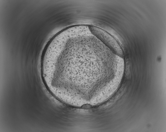 X0000116801088201001081329