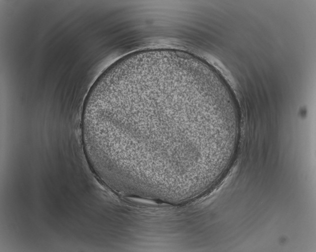 X0000116801089201001081329