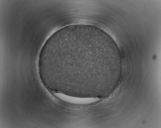 X0000116801091201001081329