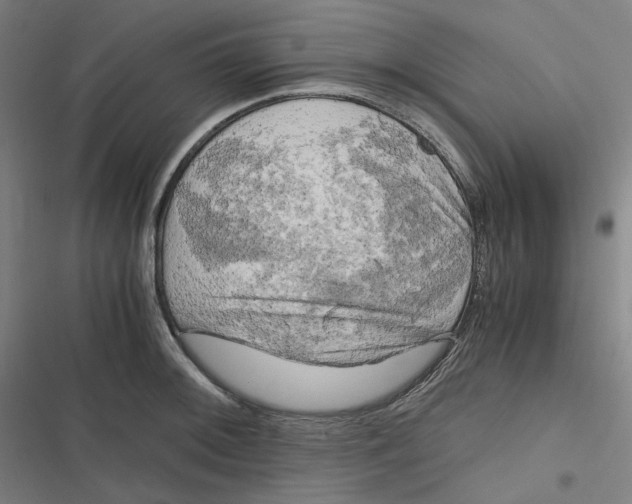 X0000116801092201001081329