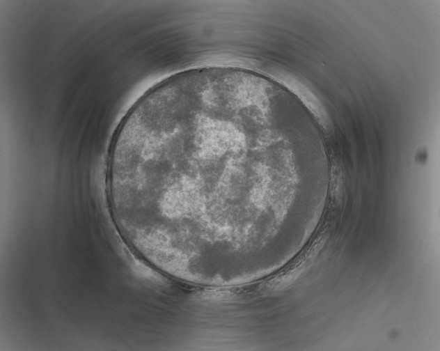 X0000116801094201001081329