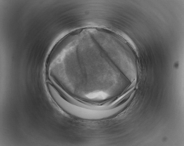 X0000116801096201001081329