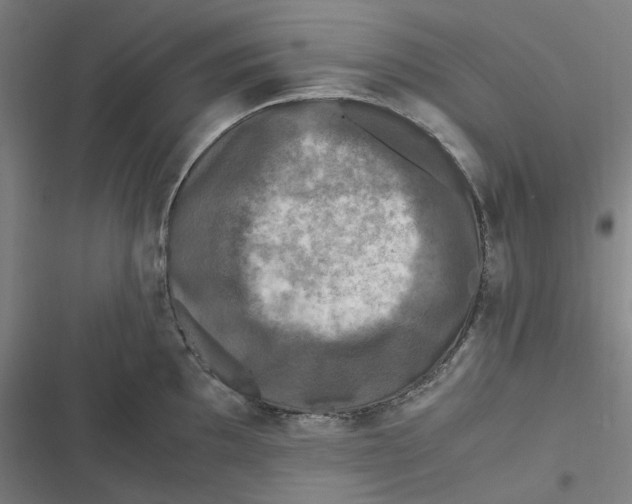 X0000116801097201001081329