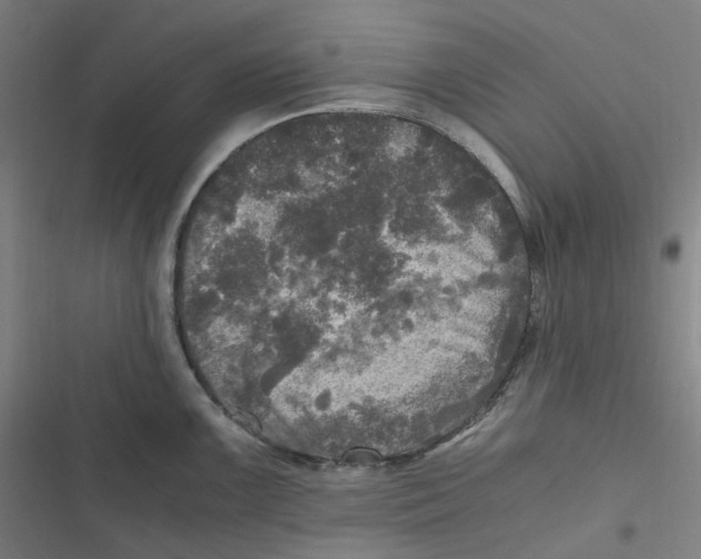 X0000116801099201001081329