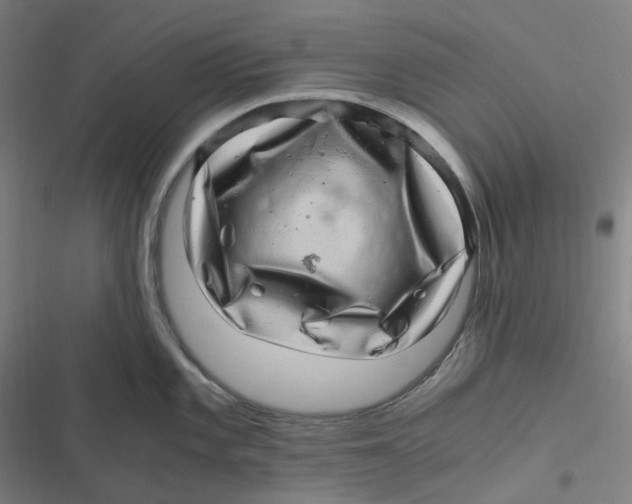 X0000116801101201001081329