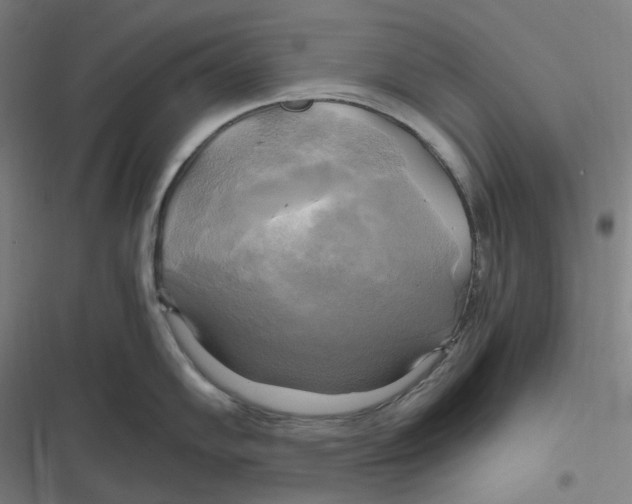 X0000116801102201001081329