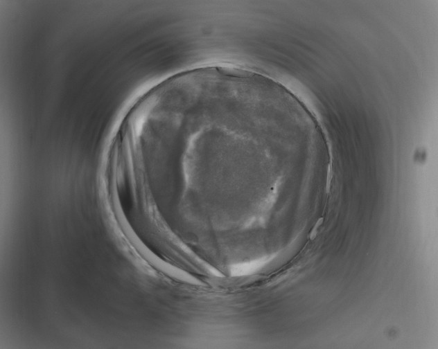 X0000116801104201001081329