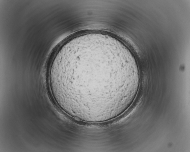 X0000116801114201001081328