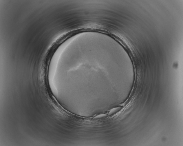 X0000116801115201001081328