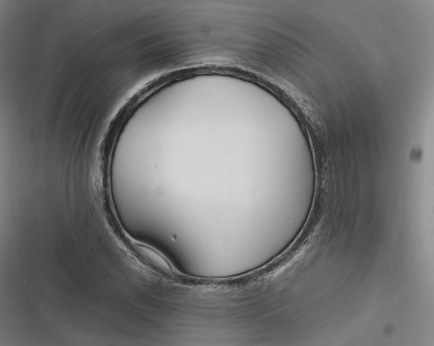 X0000116801118201001081329