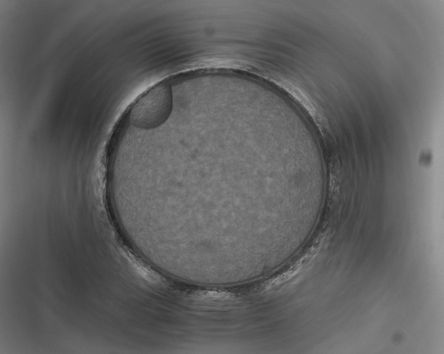 X0000116801119201001081329