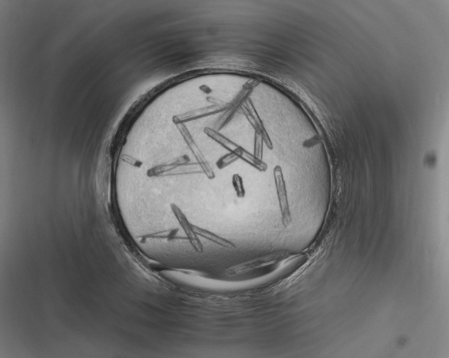 X0000116801123201001081329