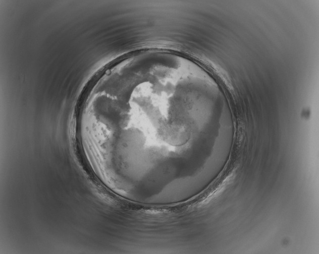 X0000116801125201001081329